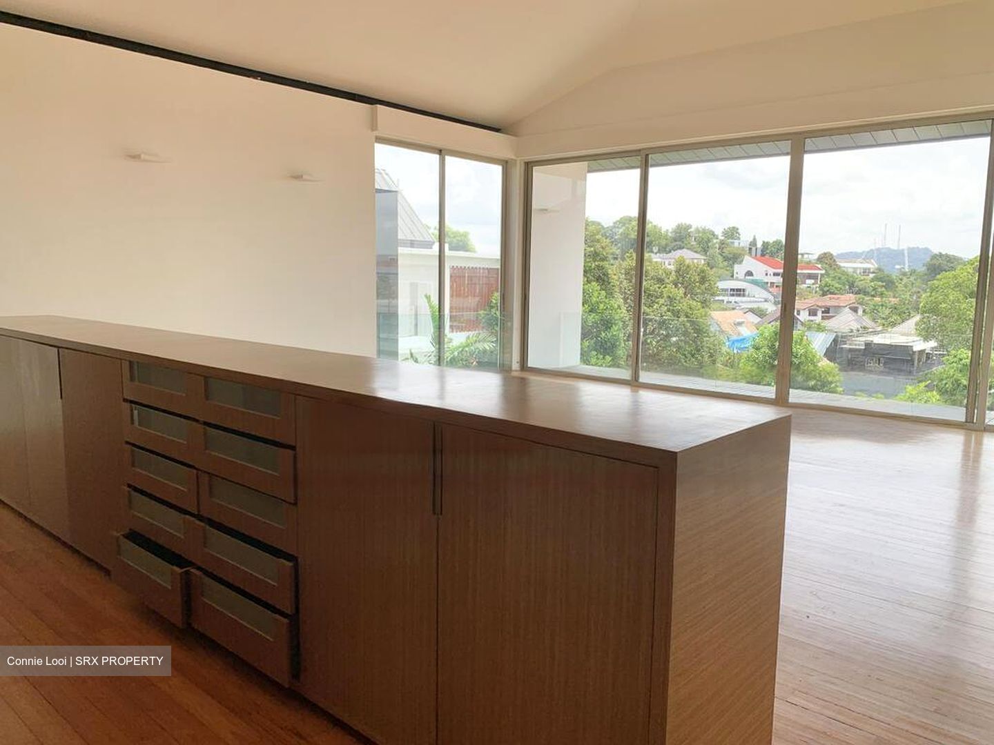 Shamrock Park (D10), Detached #477665431